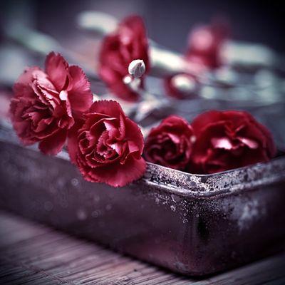 ‏تابعني اتابعك