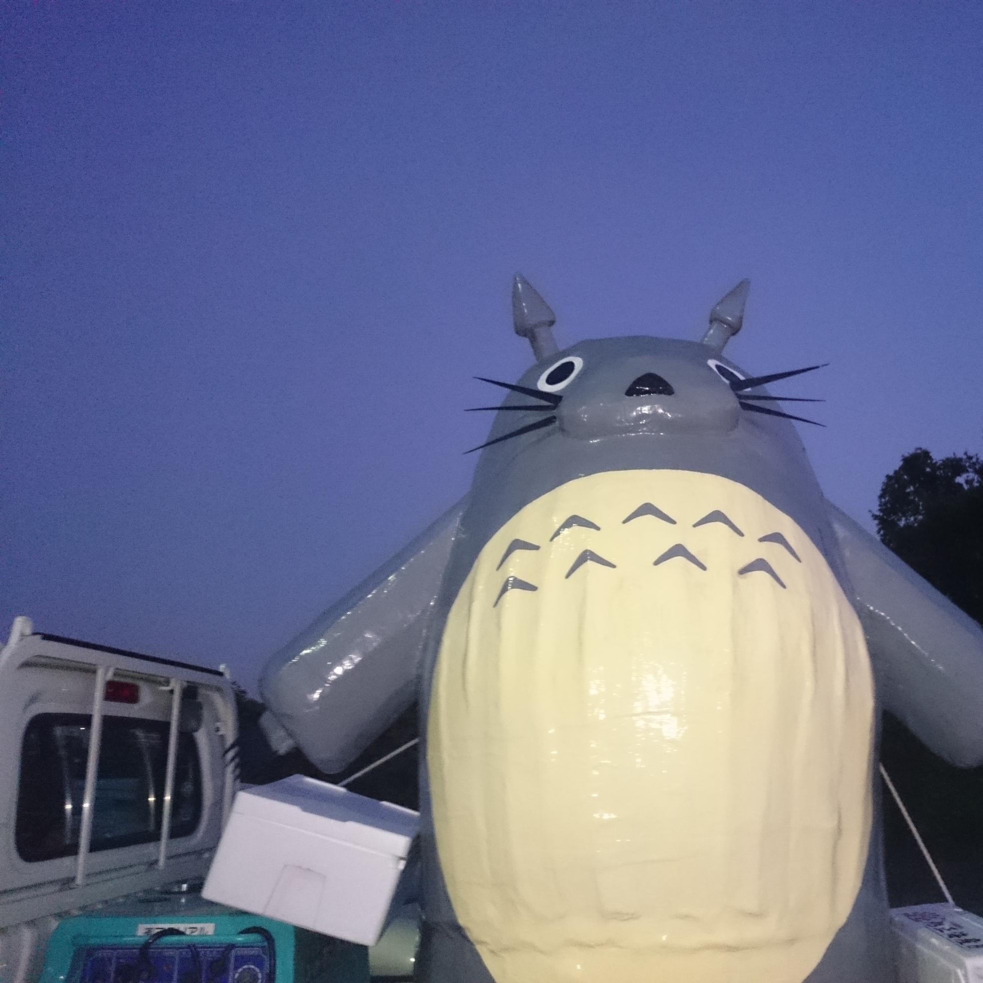 SSWライブにたまに居ます。 ランニング、ラジオ