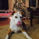 Ruby Bowles - @ruby_bowles - Twitter