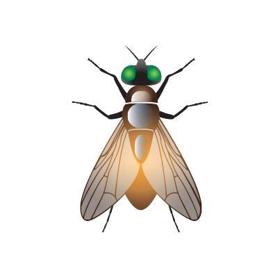 Are you sick of being bitten by horseflies & greenheads? Our eco-friendly fly trap can eliminate this pesky problem.