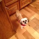 Kathy Kee - @kakin422 - Twitter