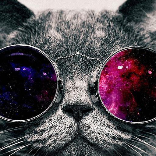 Vive, como si no hubiera un mañana, como si nada importara.