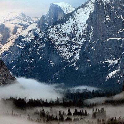 cheerfulflowr's profile picture. in the glowing woods, He finds me.