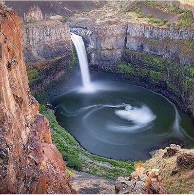 pdflm26521521's profile picture. 