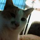 sonya wilcox - @sonya_wilcox - Twitter