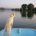 Janice Plante - @JanicePlante - Twitter