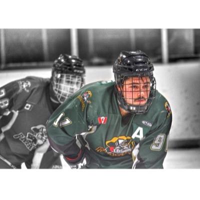 4th Line Holsteins