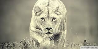 ★★★★follow me pls 2002★★★★