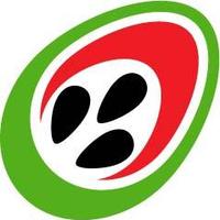 Digimedia (@digimedia) 's Twitter Profile