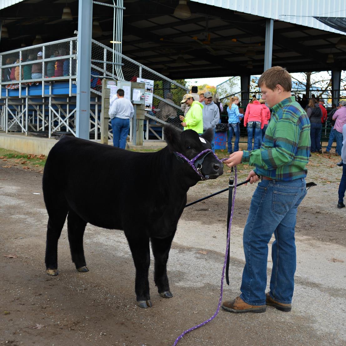 douglasfarms33's profile picture. 