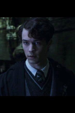 Beating Gryffindor at everything as usual. Being great.