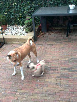 dijkstra_hans's profile picture. 