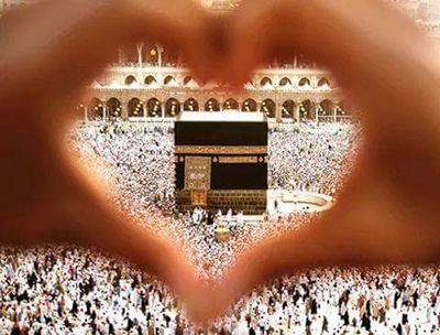 f13f9b90609f402's profile picture. jamal endra