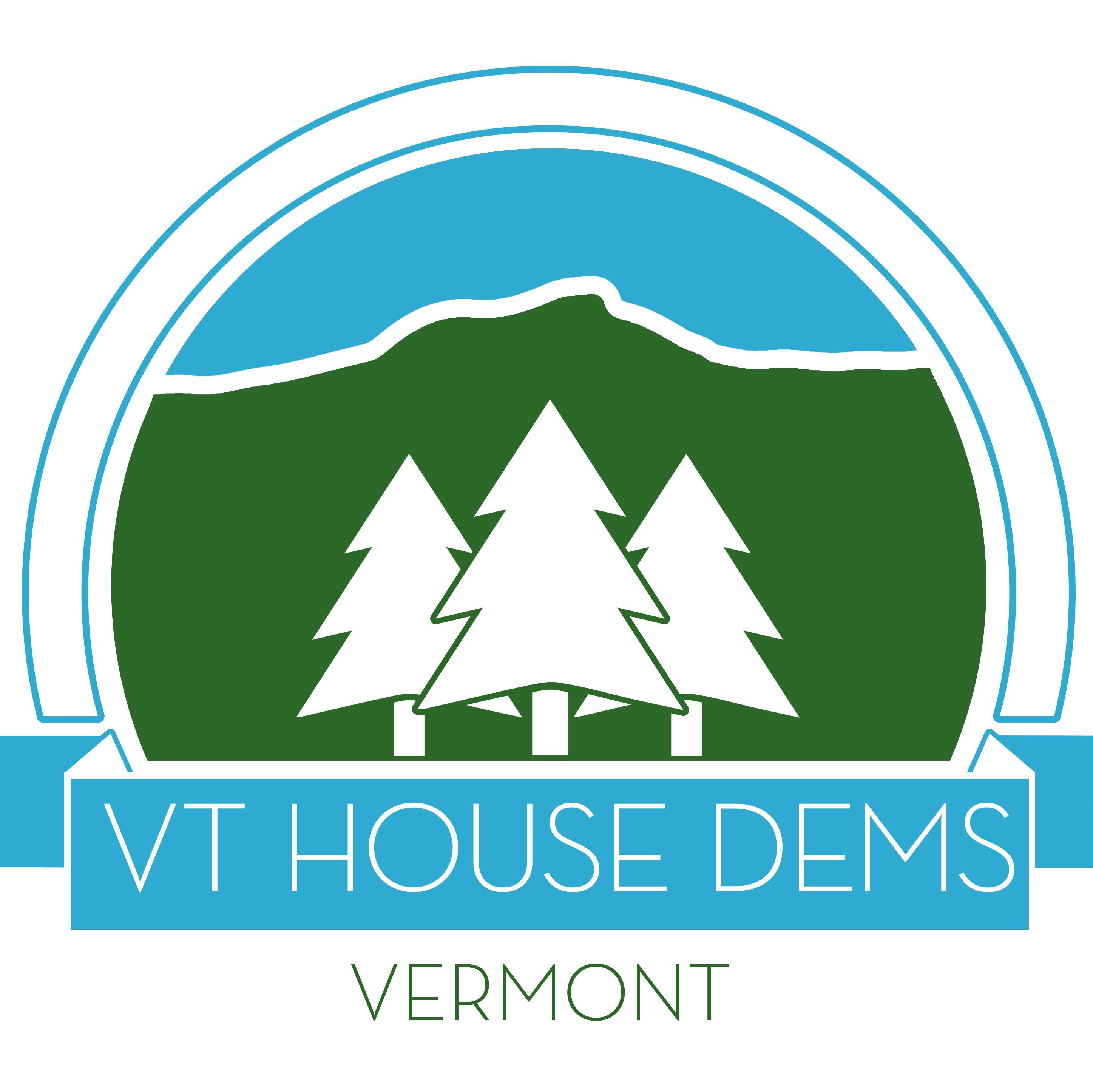 VTHouseDems Profile Picture