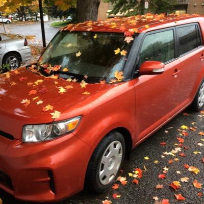 3secstranger's profile picture. The struggle is real.