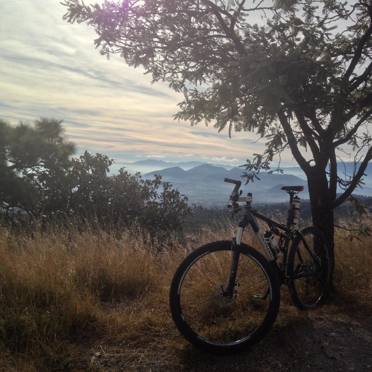 ibicycleyou's profile picture. just a mountain bike lover... 😍🚵‍♂️