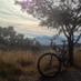 Mildred (@ibicycleyou) Twitter profile photo