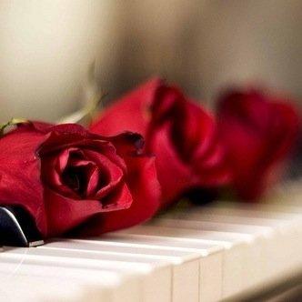 ‏‏الششرقيةة موطني ، ‏مهندسةة  ♥