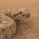 Aidan Burke - @AidanBBurke - Twitter