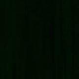 alex_piguet's profile picture. Journaliste Canal +