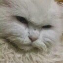 مصطفى بكرو (@1977Mmm25) Twitter