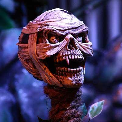 yokartiiikkkkkk's profile picture. 