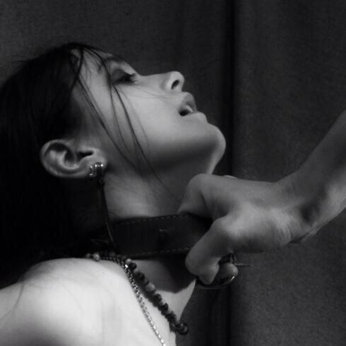 daddy_dick_nova's profile picture. Hung Daddy in Northern Virginia for sub women and couples. LOCALS Wanted #BULL #HUNG #daddys #swingers #cuckold #scorpio #DOM DMs welcome.