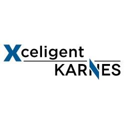 KARNESCO's profile picture. KARNES is a leading provider of data-driven market research solutions and services for the commercial real estate industry.