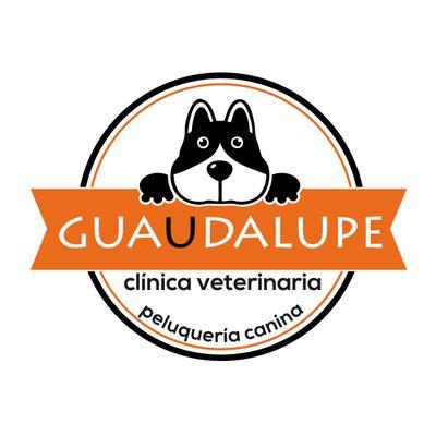 CvGuaudalupe Profile Picture