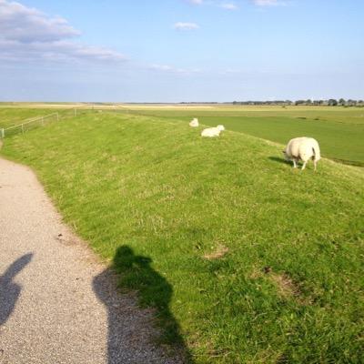 Leerkracht basisschool Hoogholtje Wehe den Hoorn