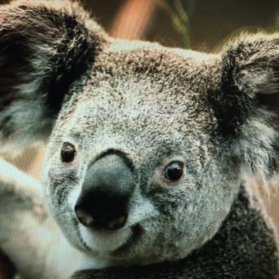 どうせなら楽しく生きよう！　　　をモットーにtweetしていきます。