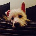 Miss Lynn Allan - @lynnallan70 - Twitter