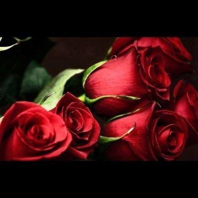 Aşk Nakışta Gizlidir.Aşk'a Ulaşmak İçin Nakkaşın Önünde Diz Kırıp Sanatına Ram Olmak Lazım.#SemerkandTT Almanya