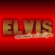 'Una noche en Las Vegas' el espectáculo que devuelve al Rey del Rock al lugar que se merece