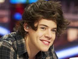 If you haven't already noticed I love Harry Styles