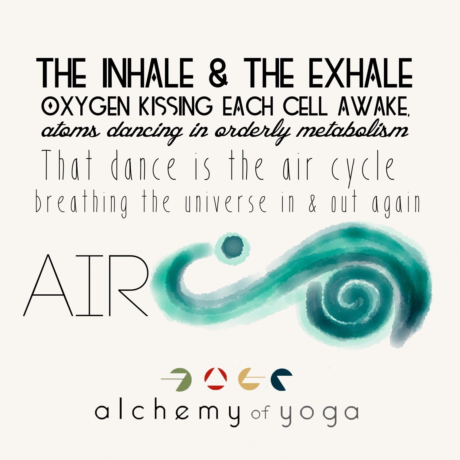 alchemyofyoga's profile picture. Wholeheartedly dedicated to the art of sacred Self-Study and transformation through the gift of Yoga. 200hr YOGA TEACHER TRAINING 2016 Italy and Costa Rica