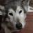 stanley_ford's profile image