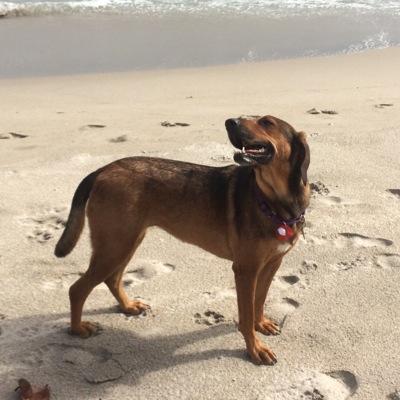 eve_christa's profile picture. 