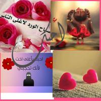 #مومو الحلوة/ (@myadh25) 's Twitter Profile