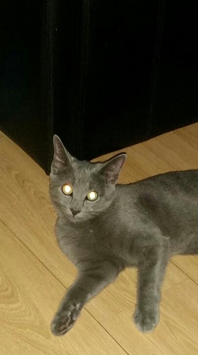 beefchipsmaster's profile picture. work hard on the Isle of Wight, love my family,  love beer and love gambling