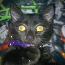 Tina D. D. - @tina_doss - Twitter