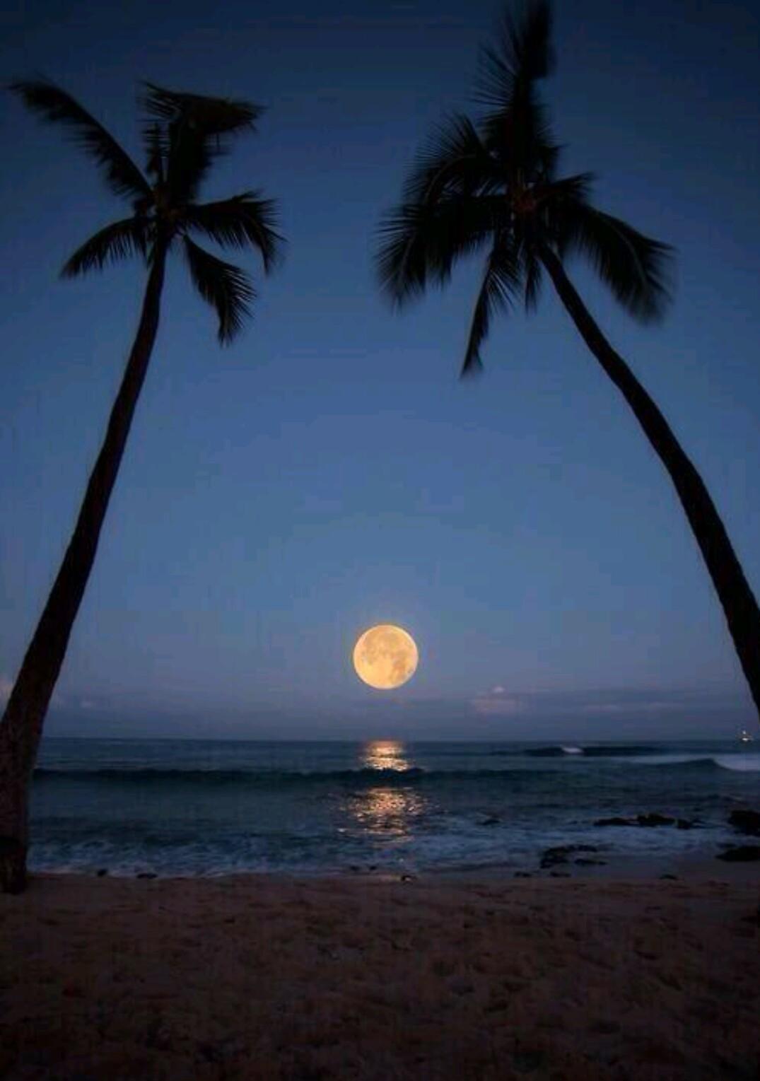 Mas_Ksa7's profile picture. ‏‏متفائل .. مؤمن .. بأن أمر المؤمن كله له خير