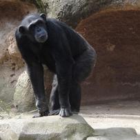 uklibertarian's profile picture. Advancing Liberty from the last margins of the land of big brother