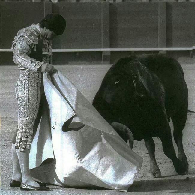 Manolo Cortes