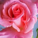 Roro 1965 (@1965_roro) Twitter