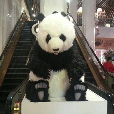 ikaina27's profile picture. 