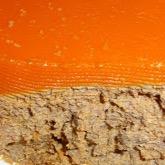 LaCachuela's profile picture. Nacionalista del Producto Extremeño...no se tomen todo esto demasiado en serio...