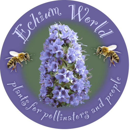 The only specialist grower, supplier and advisor of Echium plants for gardeners, designers & landscapers in the UK Giving bees a chance!