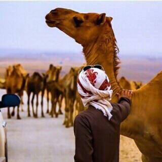 ۆإنّ خابت أمانينا اليوم !عسىَ بكره ؛ يكون أجمل ‏​‏​‏​‏​‏​‏​♡'UAE