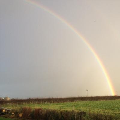 morrison_sheena's profile picture. 